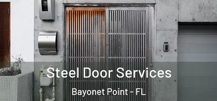 Steel Door Services Bayonet Point - FL