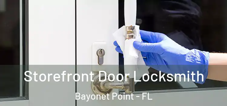 Storefront Door Locksmith Bayonet Point - FL